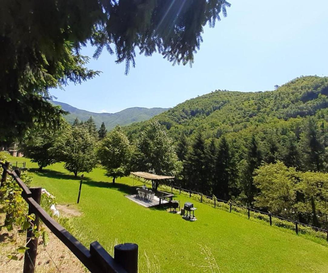 Il Bosco Di Campo Marzano Sunlight Apartment Borzonasca Bagian luar foto