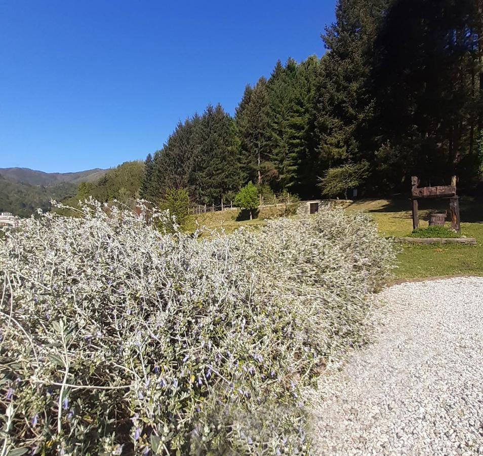 Il Bosco Di Campo Marzano Sunlight Apartment Borzonasca Bagian luar foto