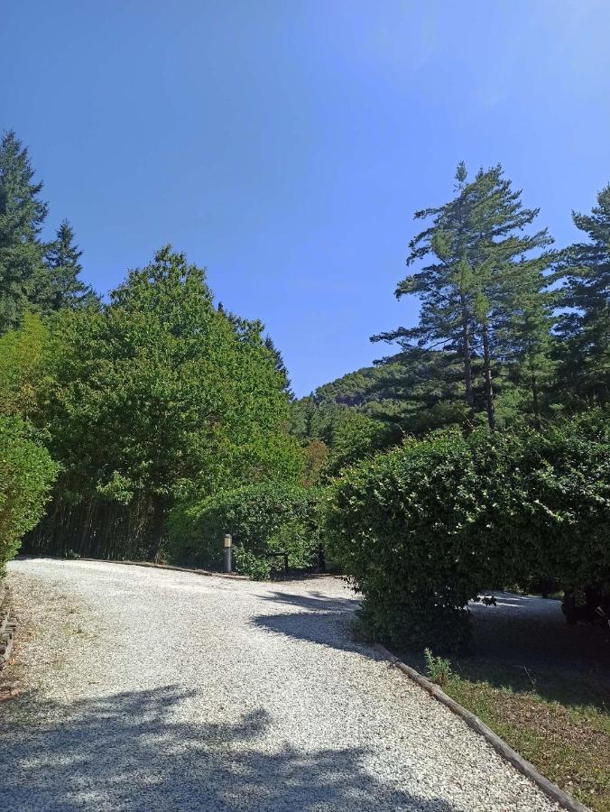 Il Bosco Di Campo Marzano Sunlight Apartment Borzonasca Bagian luar foto